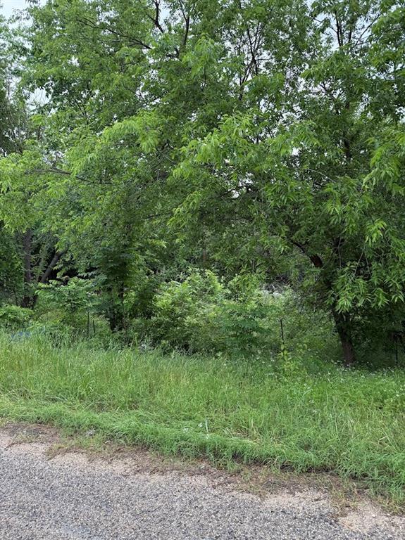 Nice interior lot with trees. Would be a great place to build a home or place a new mobile home. At one time their was a mobile home on the property and there is still some of it that remains and will have to be cleared off.