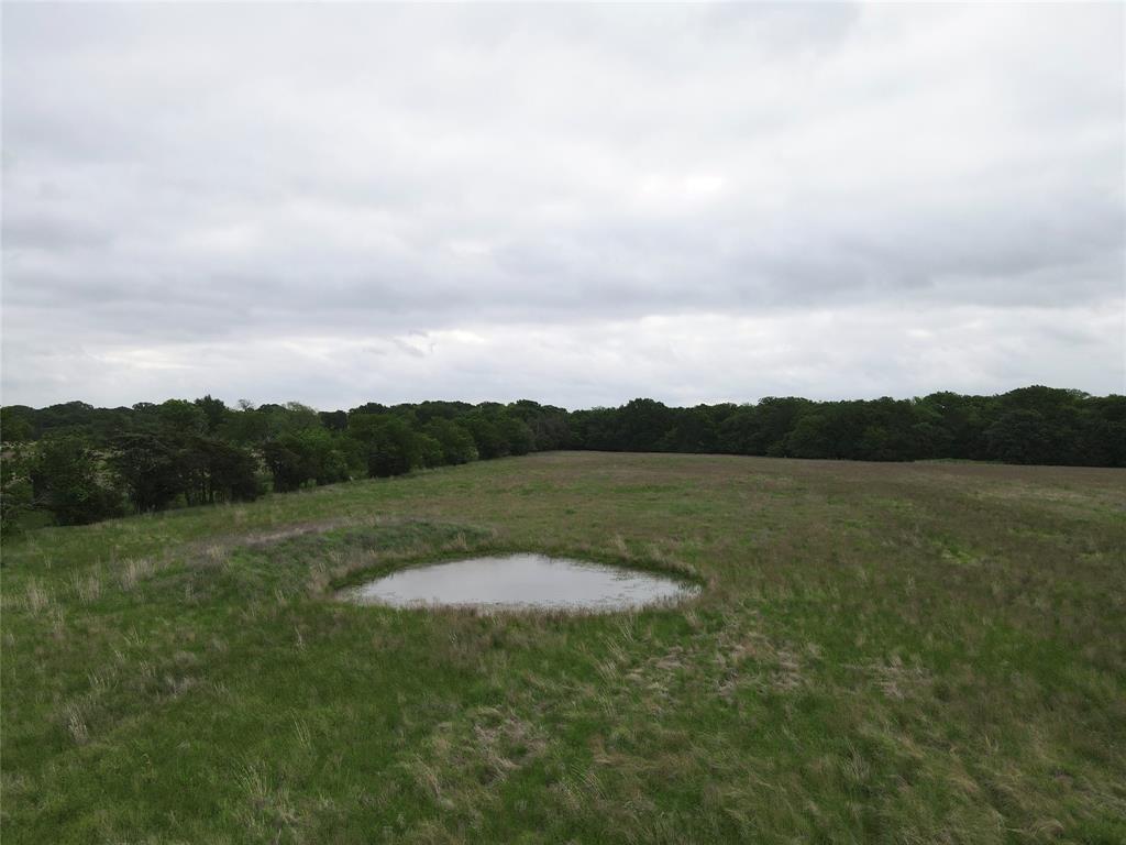 Fitzgerald - Land