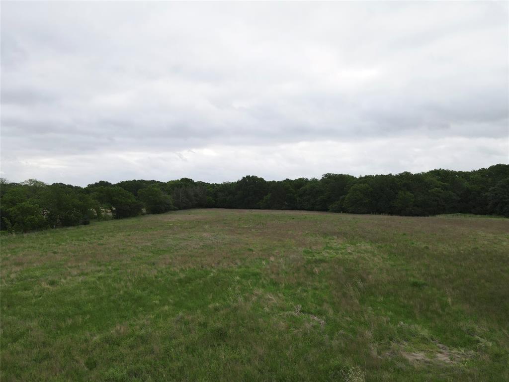 Fitzgerald - Land
