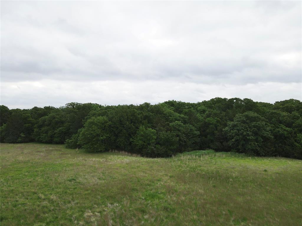 Fitzgerald - Land