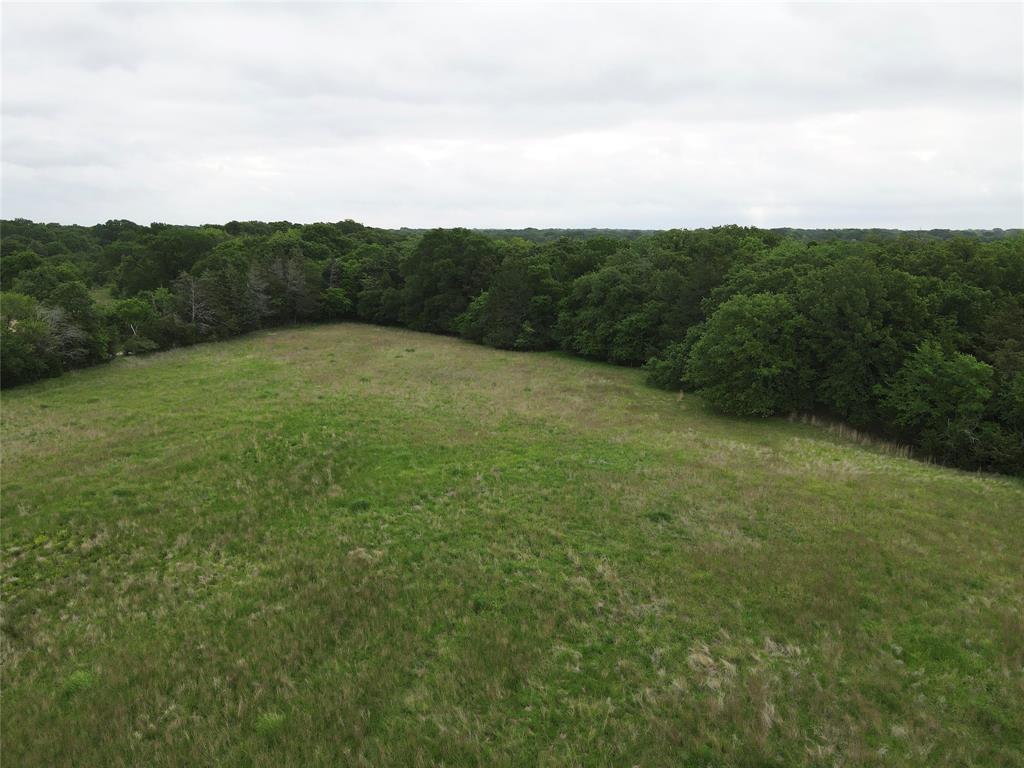 Fitzgerald - Land
