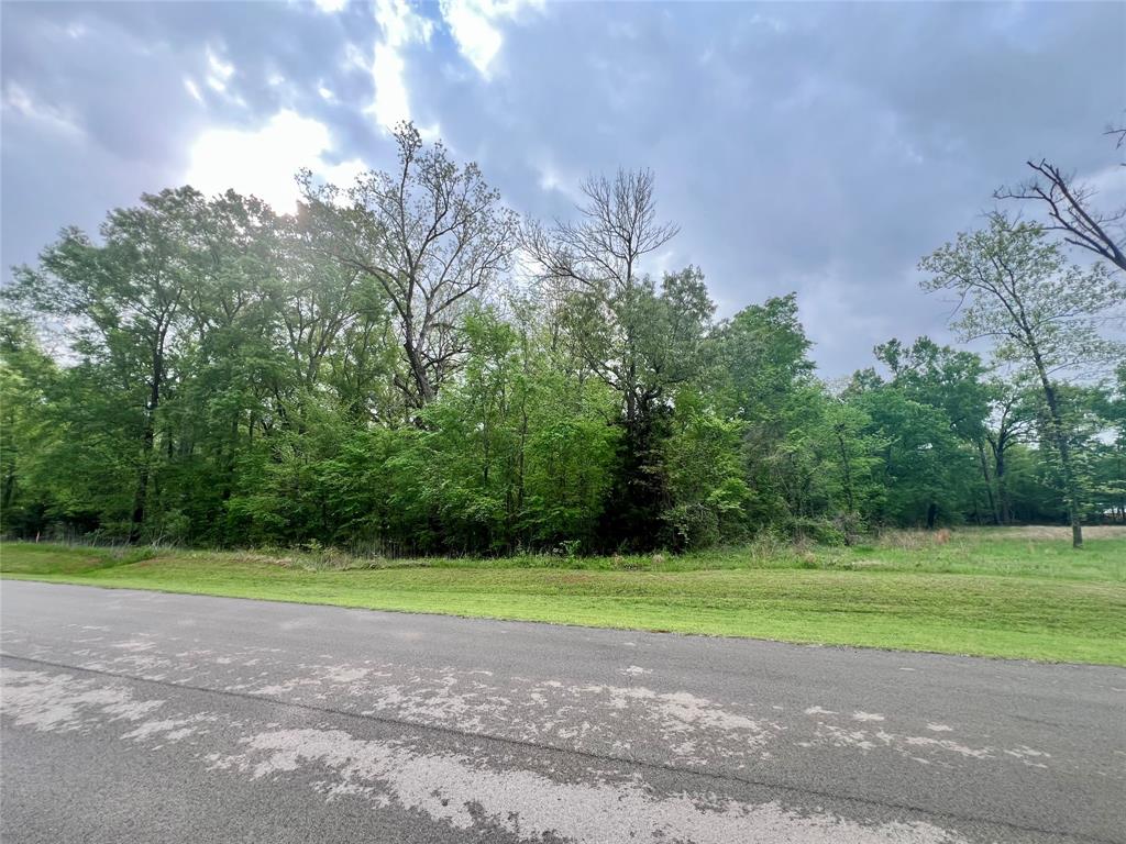 Blue Ridge Estates - Land