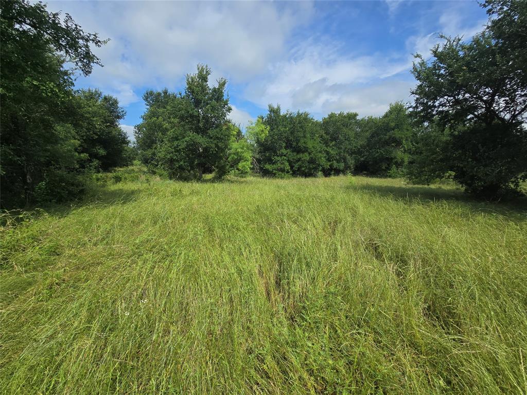 Paradise Oaks Ranch - Land