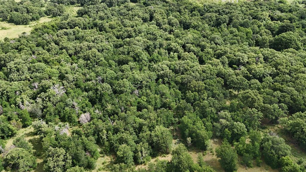 Paradise Oaks Ranch - Land