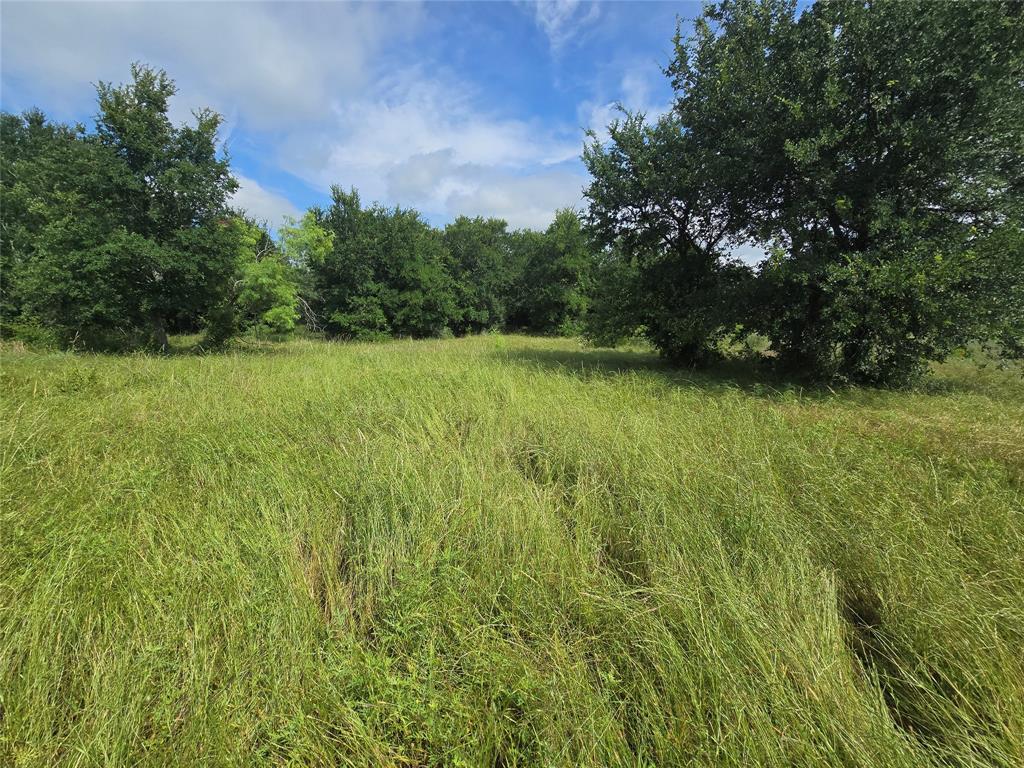 Paradise Oaks Ranch - Land