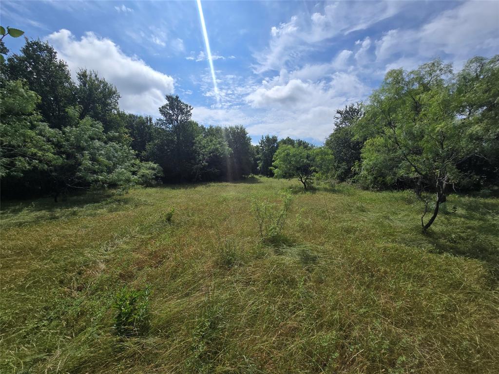 Paradise Oaks Ranch - Land