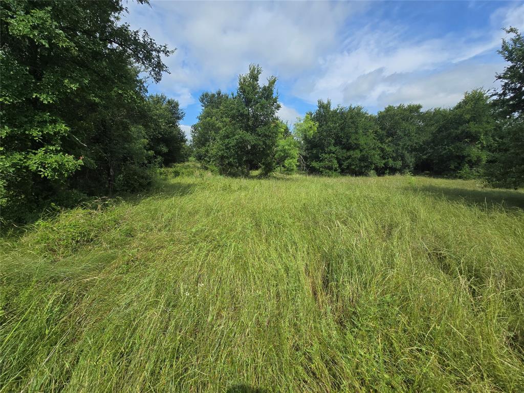 Paradise Oaks Ranch - Land