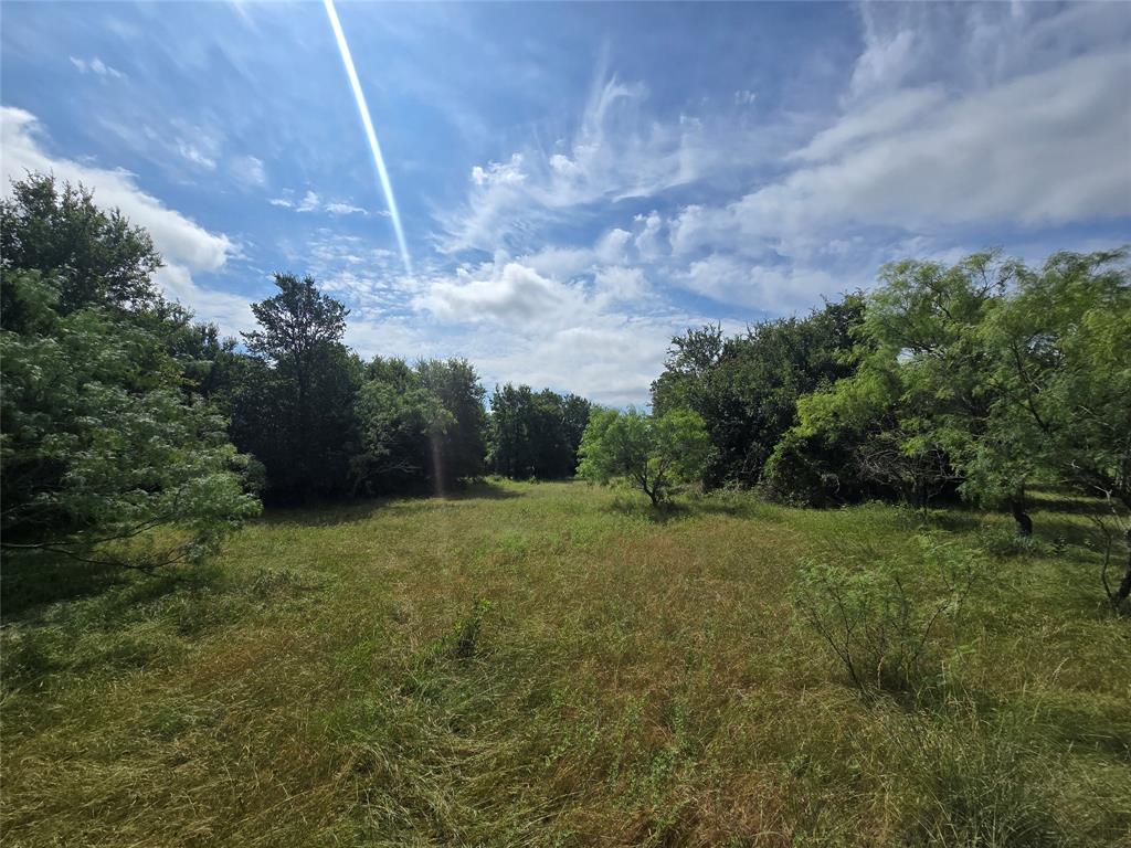 Paradise Oaks Ranch - Land