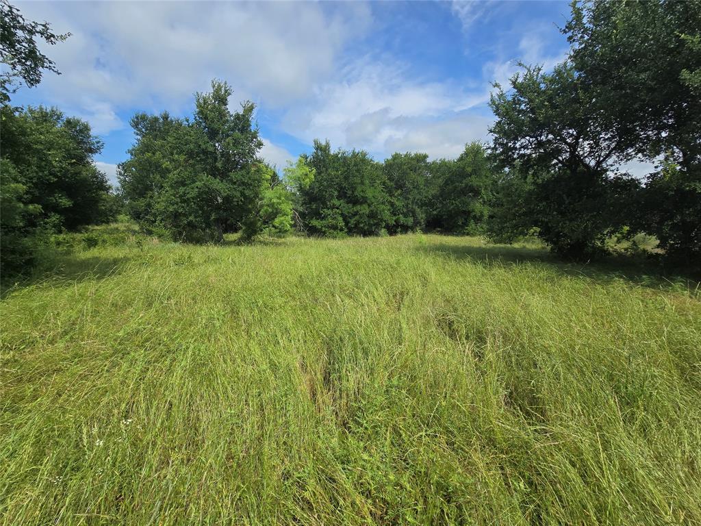 Paradise Oaks Ranch - Land