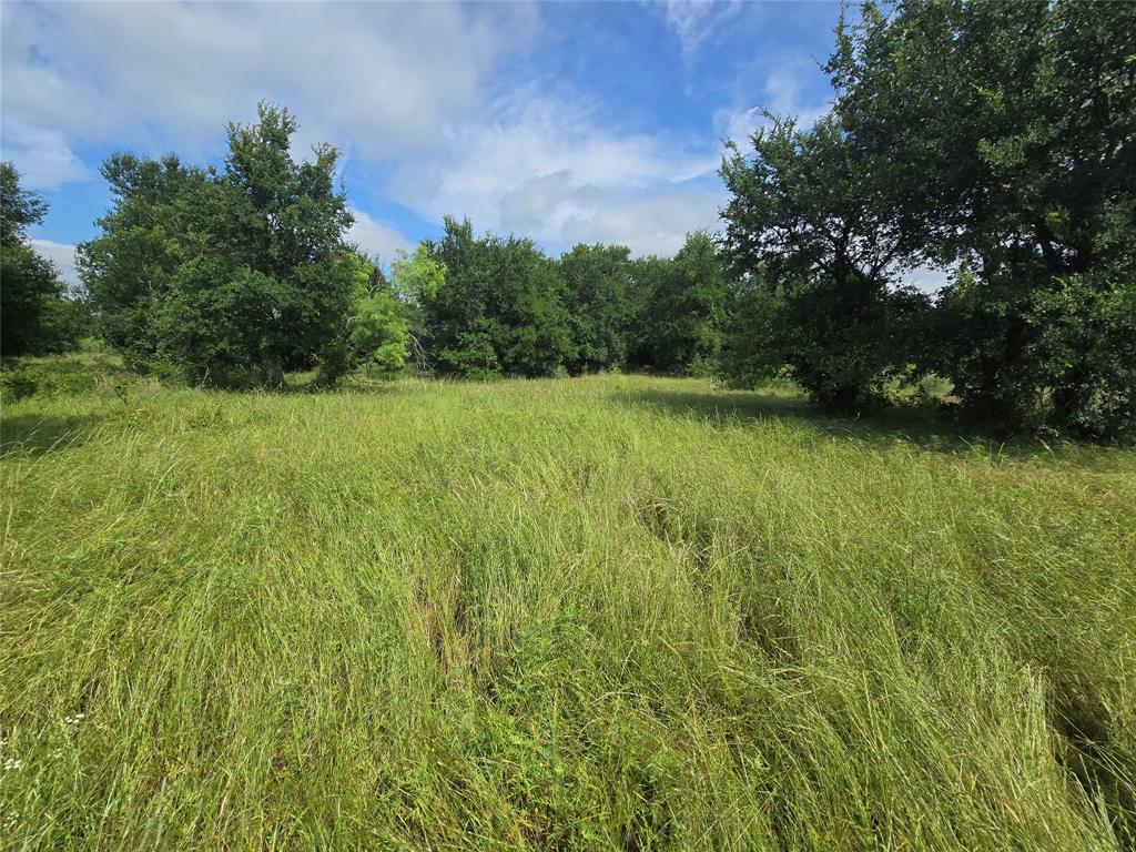 Paradise Oaks Ranch - Land