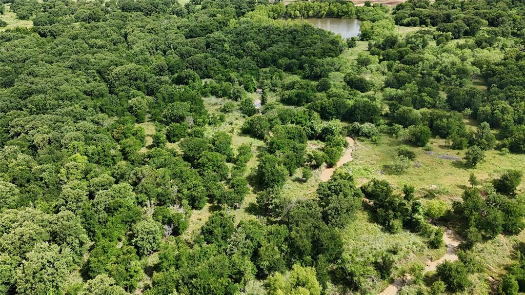 Paradise Oaks Ranch - Land