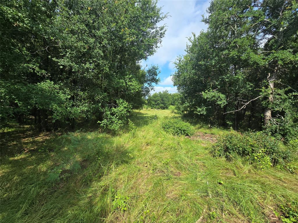 Paradise Oaks Ranch - Land