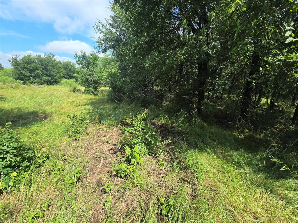 Paradise Oaks Ranch - Land