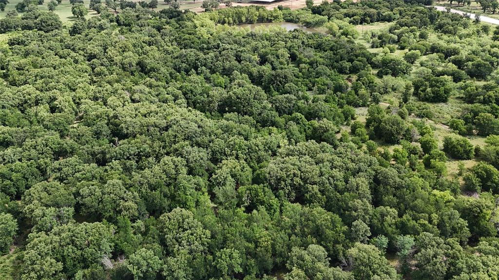 Paradise Oaks Ranch - Land