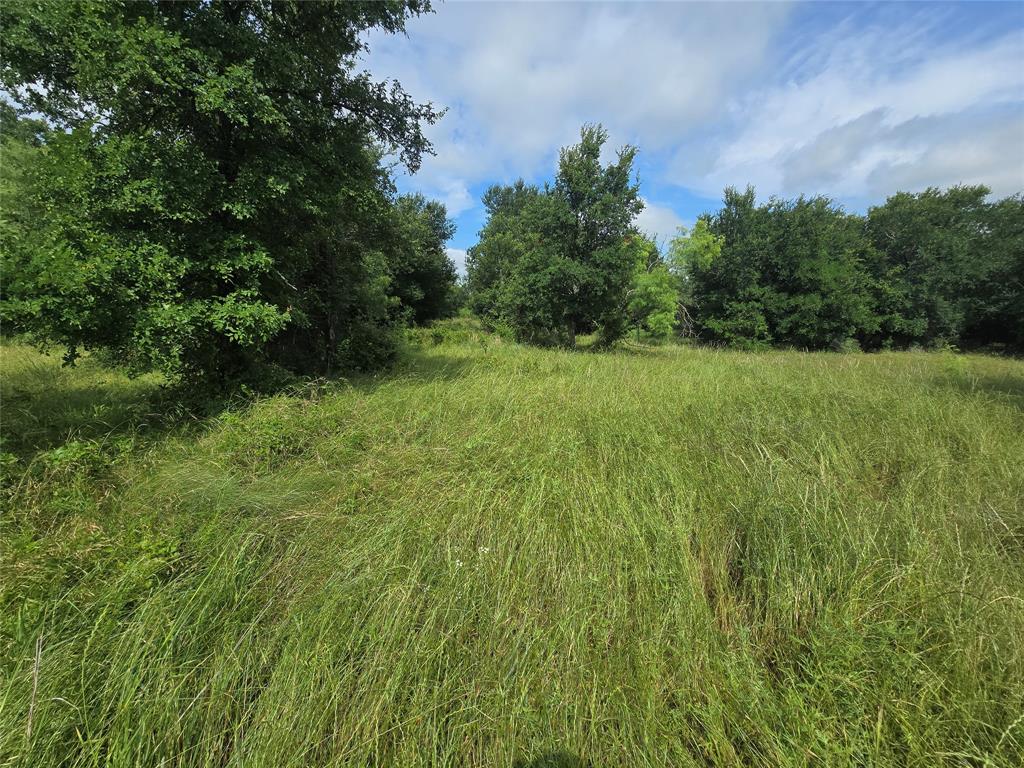 Paradise Oaks Ranch - Land