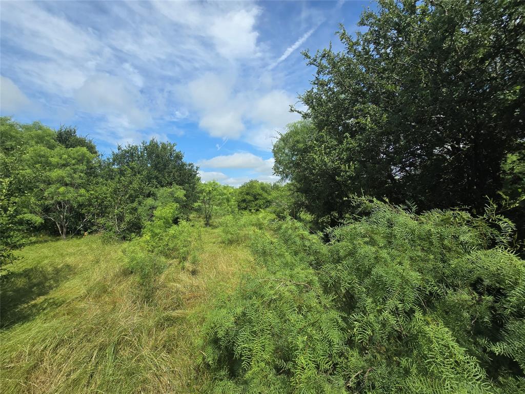 Paradise Oaks Ranch - Land