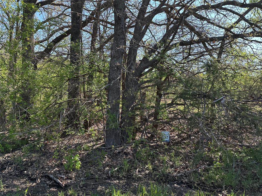 Bois D'Acre Lake Estates - Land