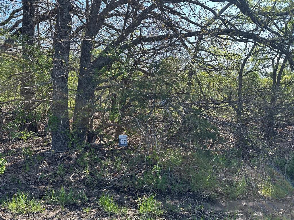 Bois D'Acre Lake Estates - Land