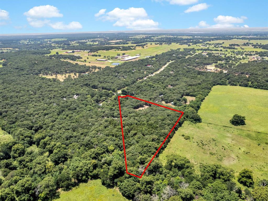 The woods - Land