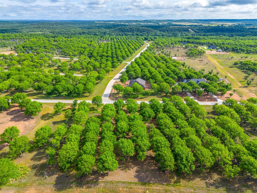 Pecan Plantation - Land