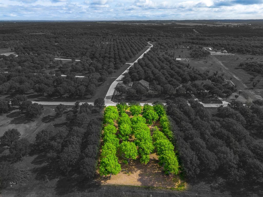 Pecan Plantation - Land
