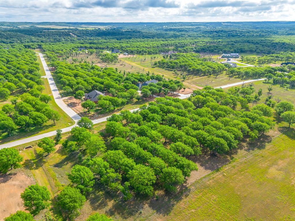 Pecan Plantation - Land