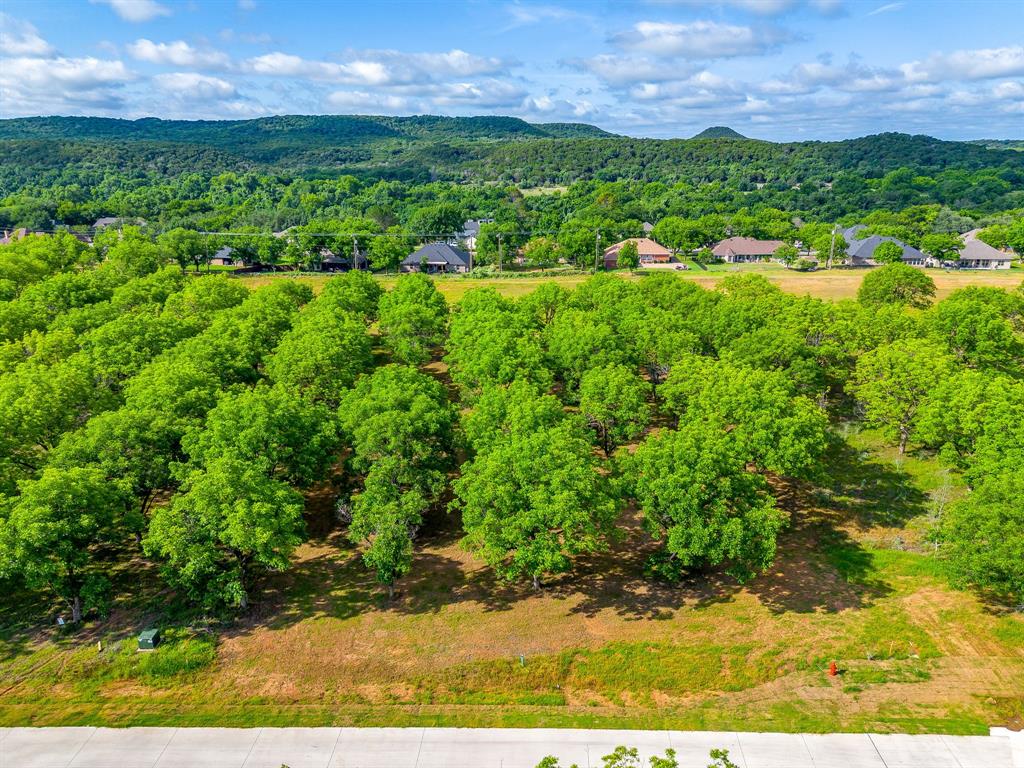 Pecan Plantation - Land