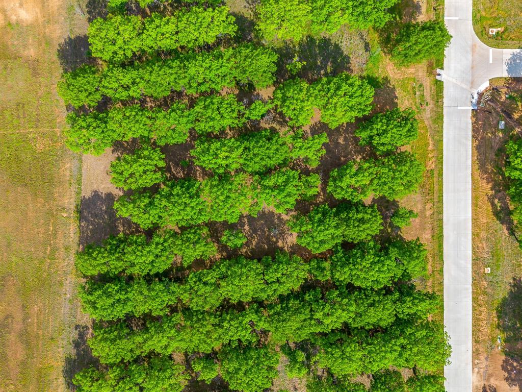 Pecan Plantation - Land