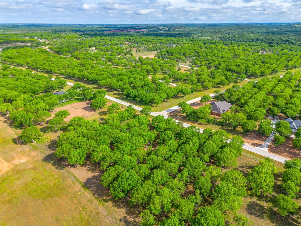 Pecan Plantation - Land