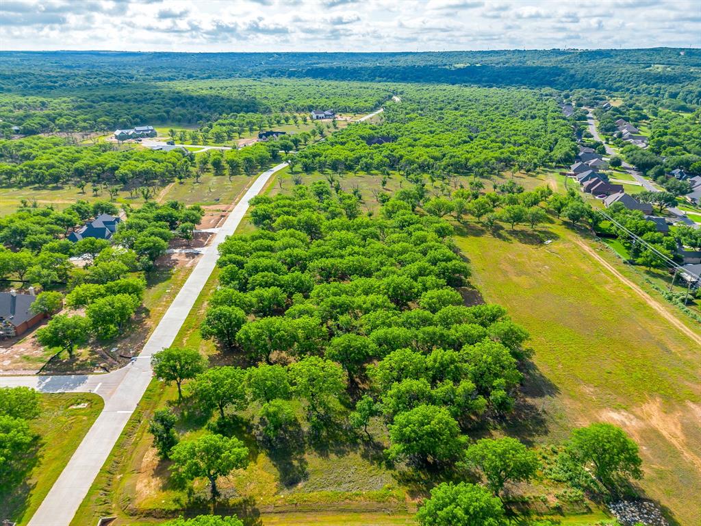 Pecan Plantation - Land