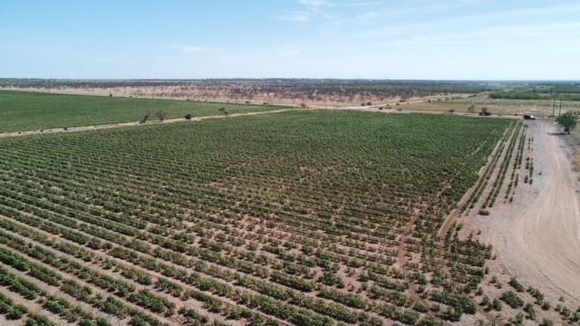 County - Land