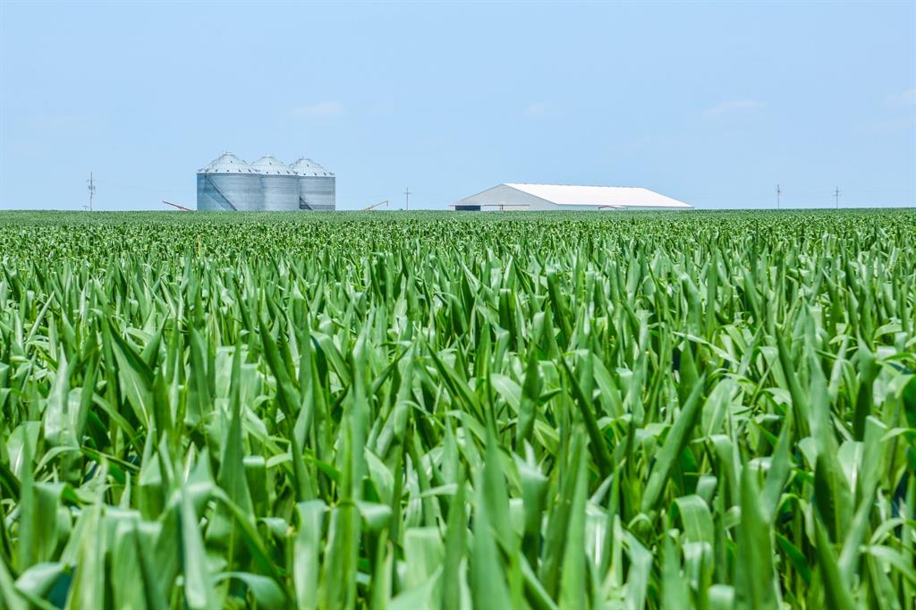 A565 - Land