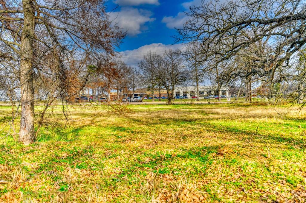 Sherwood Forest 01 - Land