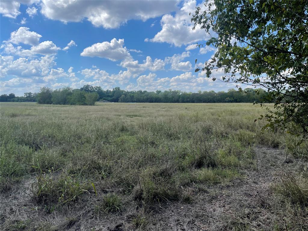 Can be used for hay production . 260 bales last year. Property is in Flood zone.  Buyer to check Flood map. Numerous wild animals in area including dove, feral hogs and deer .Possible weekend retreat in city limits . Very close to amenities in Greenville Approximately 77 acres of pasture bottom land. Property IDs include 229793, 33783,73655.