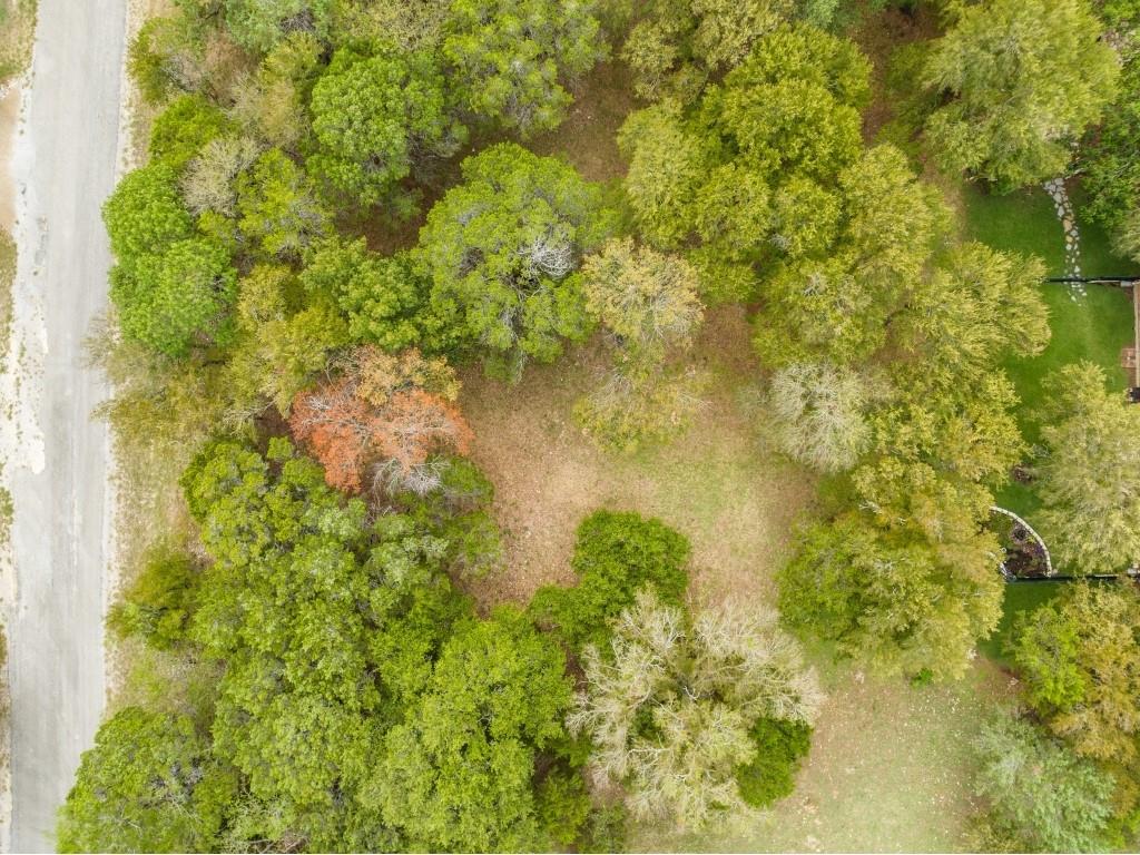 White Bluff #16 - Land