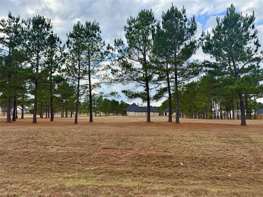Faith Plantation - Land