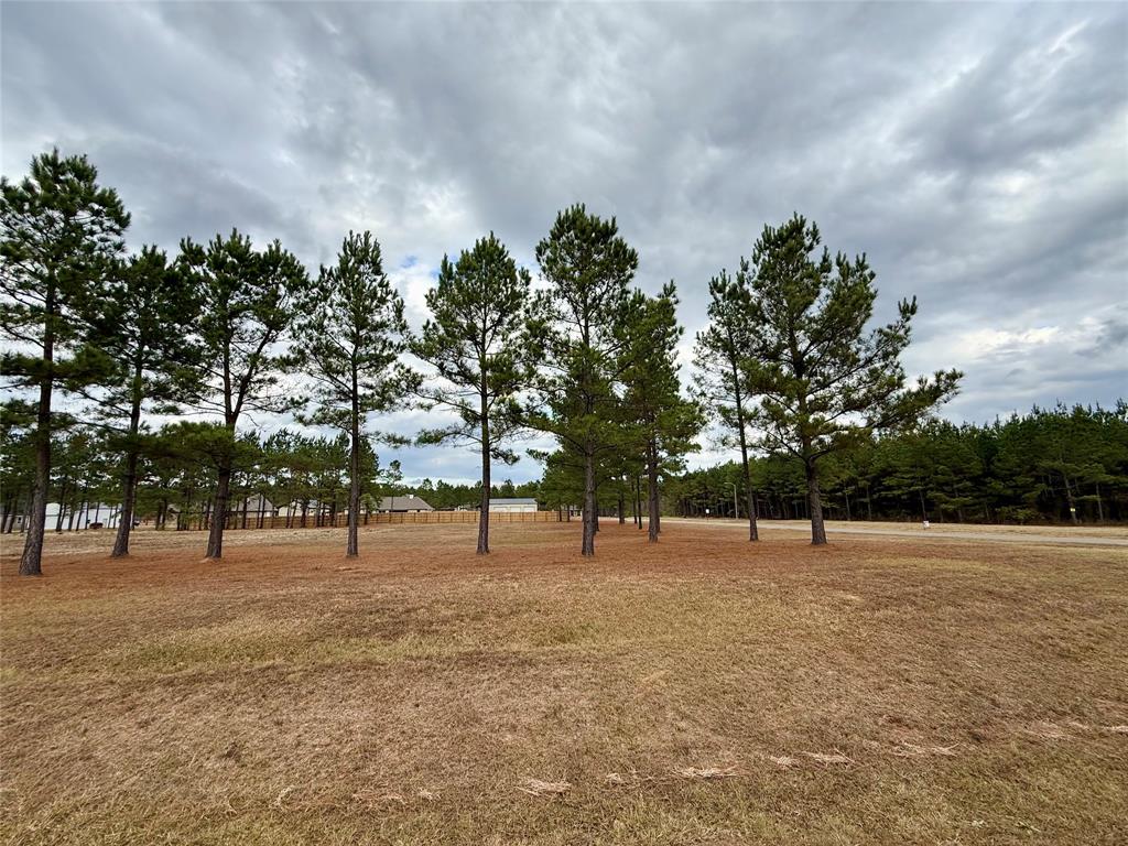 Faith Plantation - Land