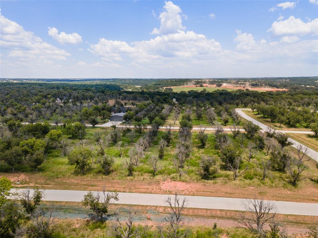 Pecan Plantation - Land