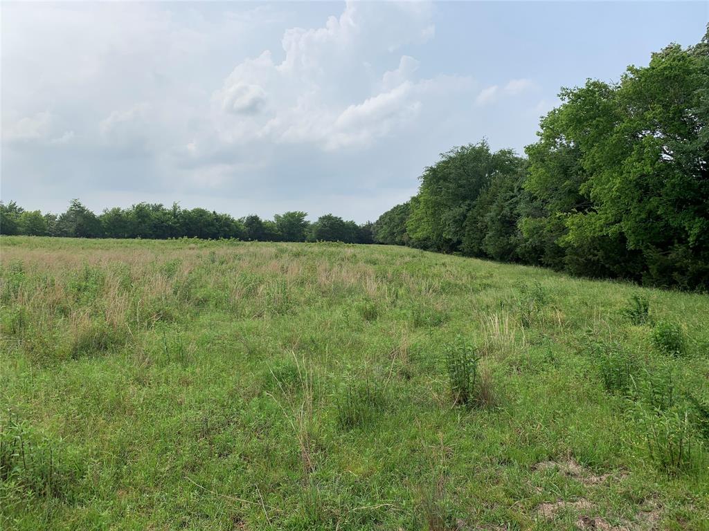 WM. McGuier Survey, Mund Gross Survey - Land