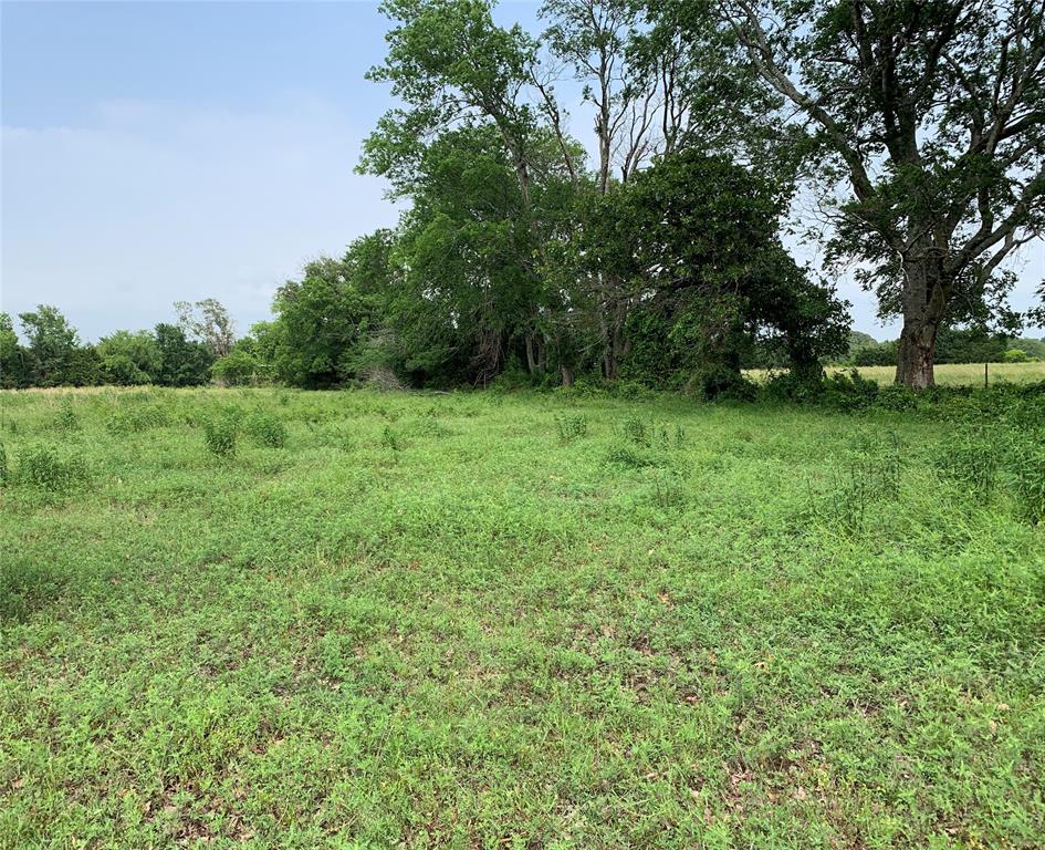 WM. McGuier Survey, Mund Gross Survey - Land