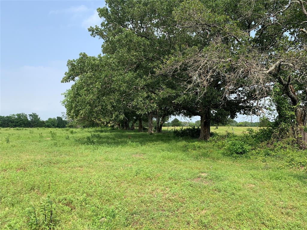 WM. McGuier Survey, Mund Gross Survey - Land