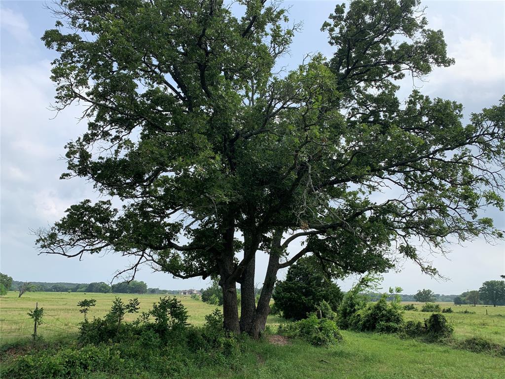WM. McGuier Survey, Mund Gross Survey - Land