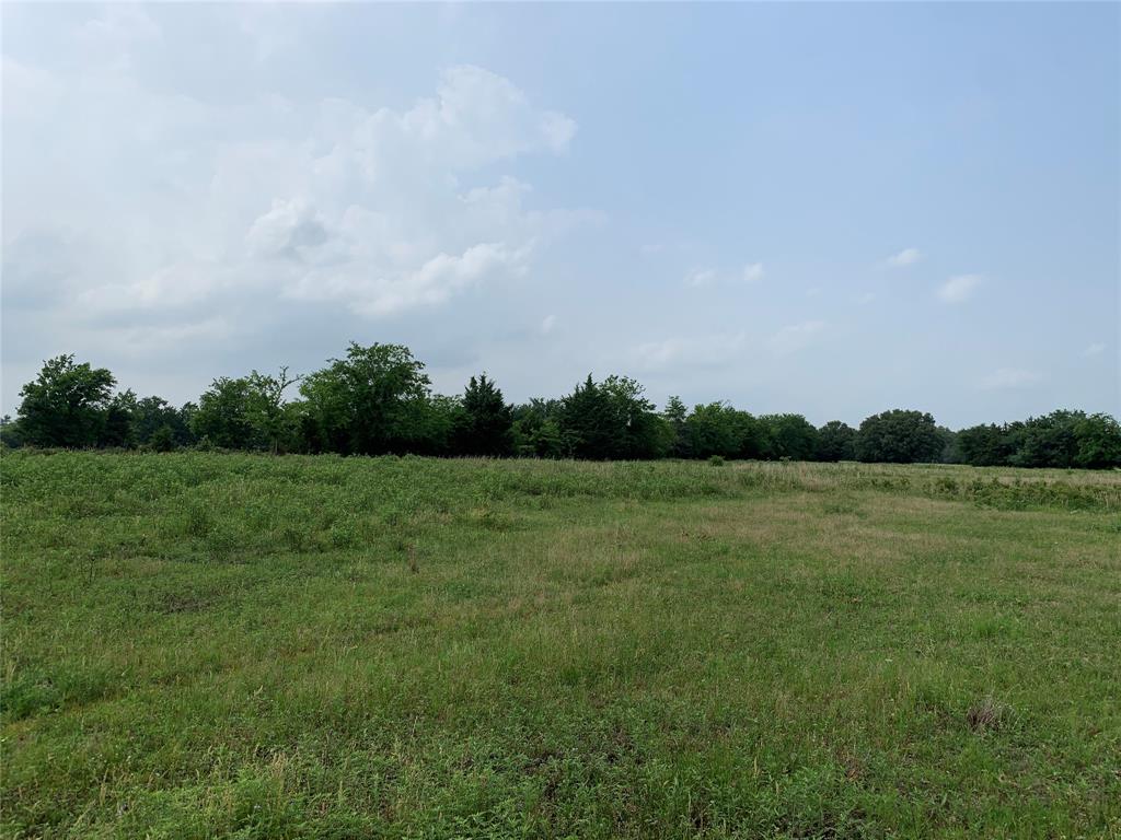 Located on a quiet county road out in the country just outside the town of Van. This property offers lush green pastures and tree lines that will make for a serene homestead. Plenty of road frontage and space for you to build your dream home. There is an old metal building on the property that can be used to store your equipment or toys.