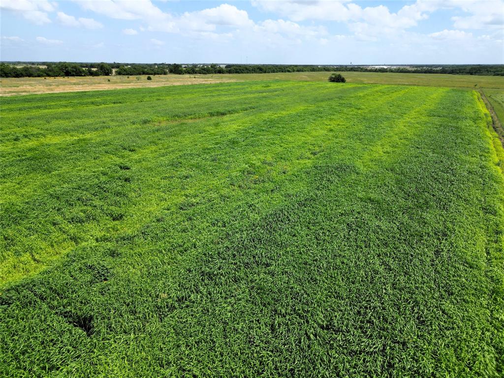 Moser Farm - Land