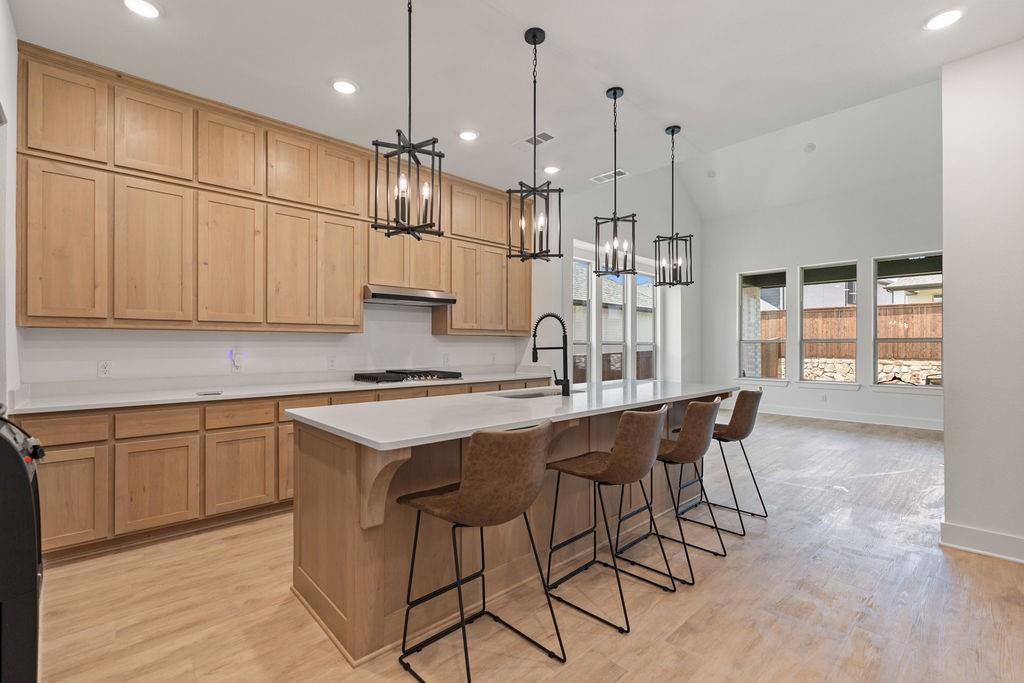 Aster Pk Ph 1b1 - Residential