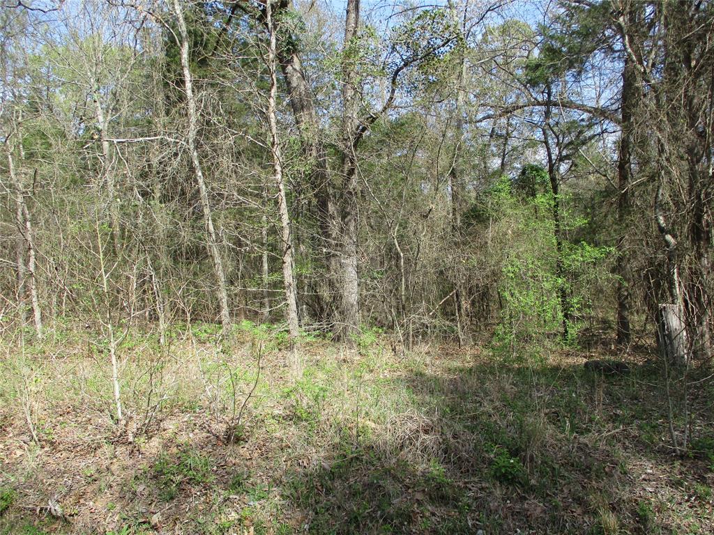 Heavily wooded tract ready for your ideas. Just minutes from schools, shopping, Lake Fork and much more. Come out, bring your plans and ideas, start living the country life now.