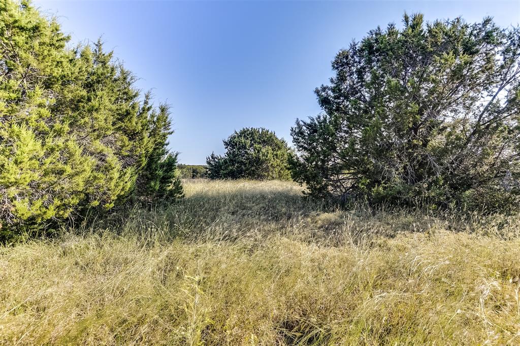 White Bluff #01 - Land
