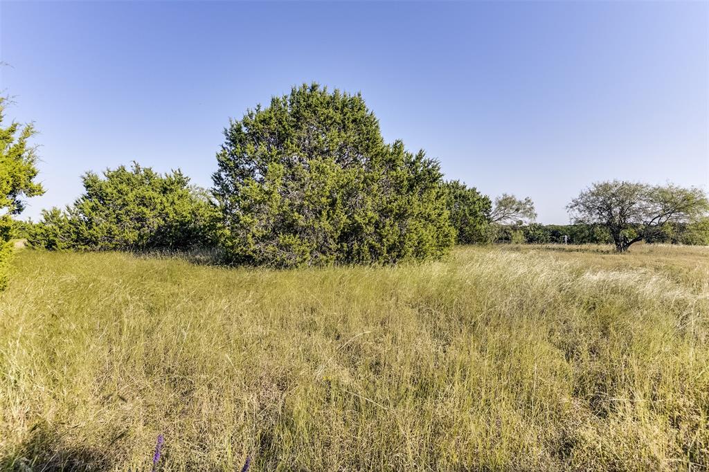 White Bluff #01 - Land