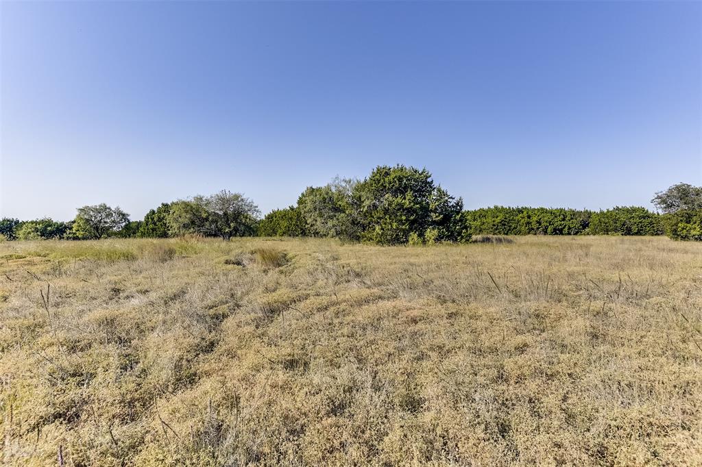 White Bluff #01 - Land