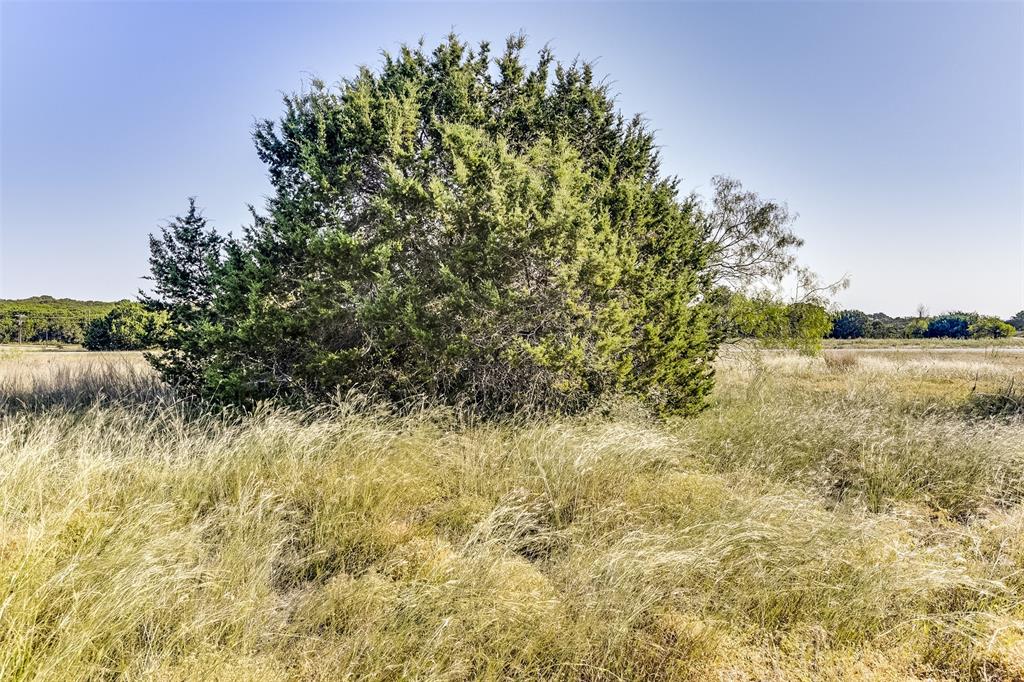 White Bluff #01 - Land